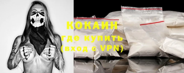 прущие грибы Анжеро-Судженск