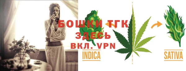 PSILOCYBIN Майский