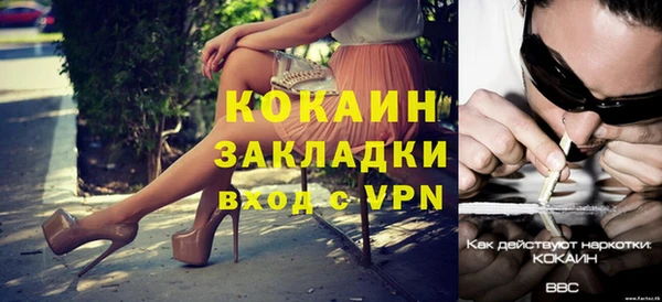прущие грибы Анжеро-Судженск
