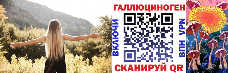 хочу наркоту  Чайковский  Псилоцибиновые грибы Magic Shrooms 