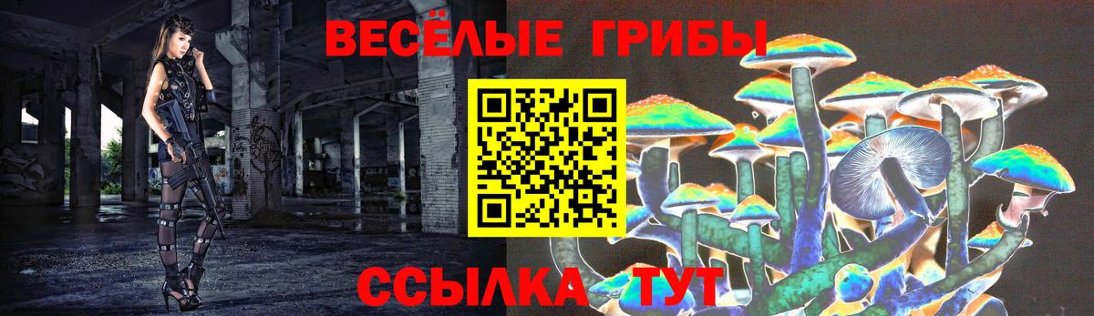 Чайковский  Галлюциногенные грибы прущие грибы  Вход с VPN 